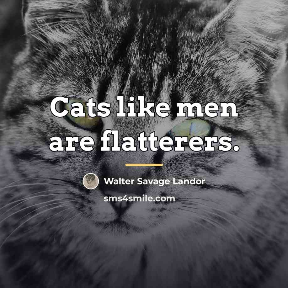 “Cats like men are flatterers.…” quote by Walter Savage Landor