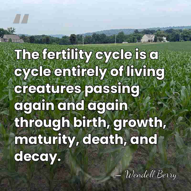 The fertility cycle is a cycle entirely of living creatures passing again&hellip; - Wendell Berry