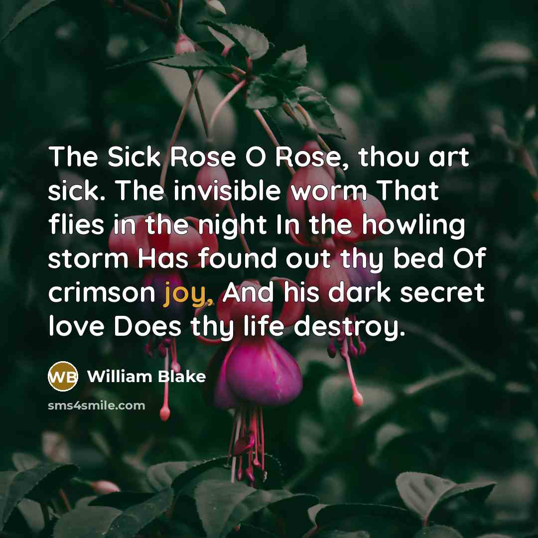 “The Sick Rose O Rose, thou art sick. The invisible…” quote by William Blake