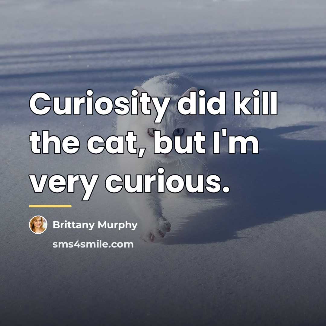“Curiosity did kill the cat, but I'm very curious.…” quote by Brittany Murphy