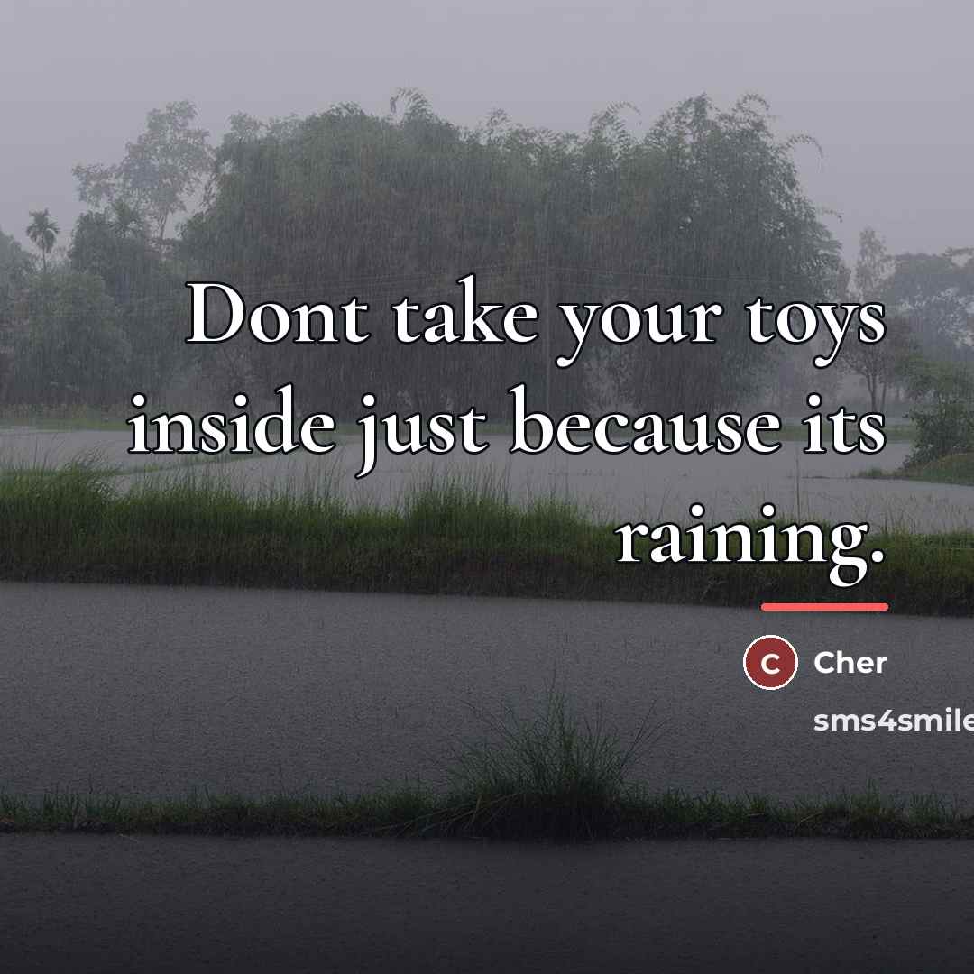 “Dont take your toys inside just because its raining.…” quote by Cher