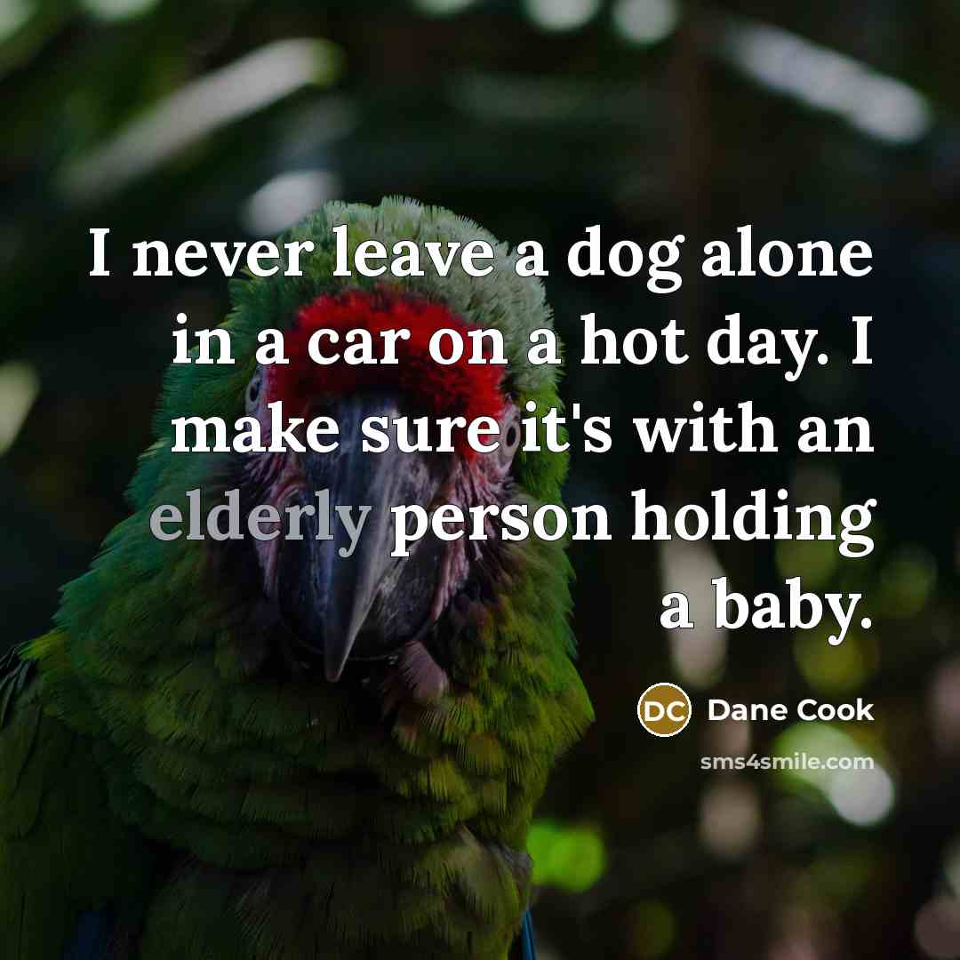 “I never leave a dog alone in a car on a hot day. I make sure it's with an elderly person holding a baby.” quote by Dane Cook