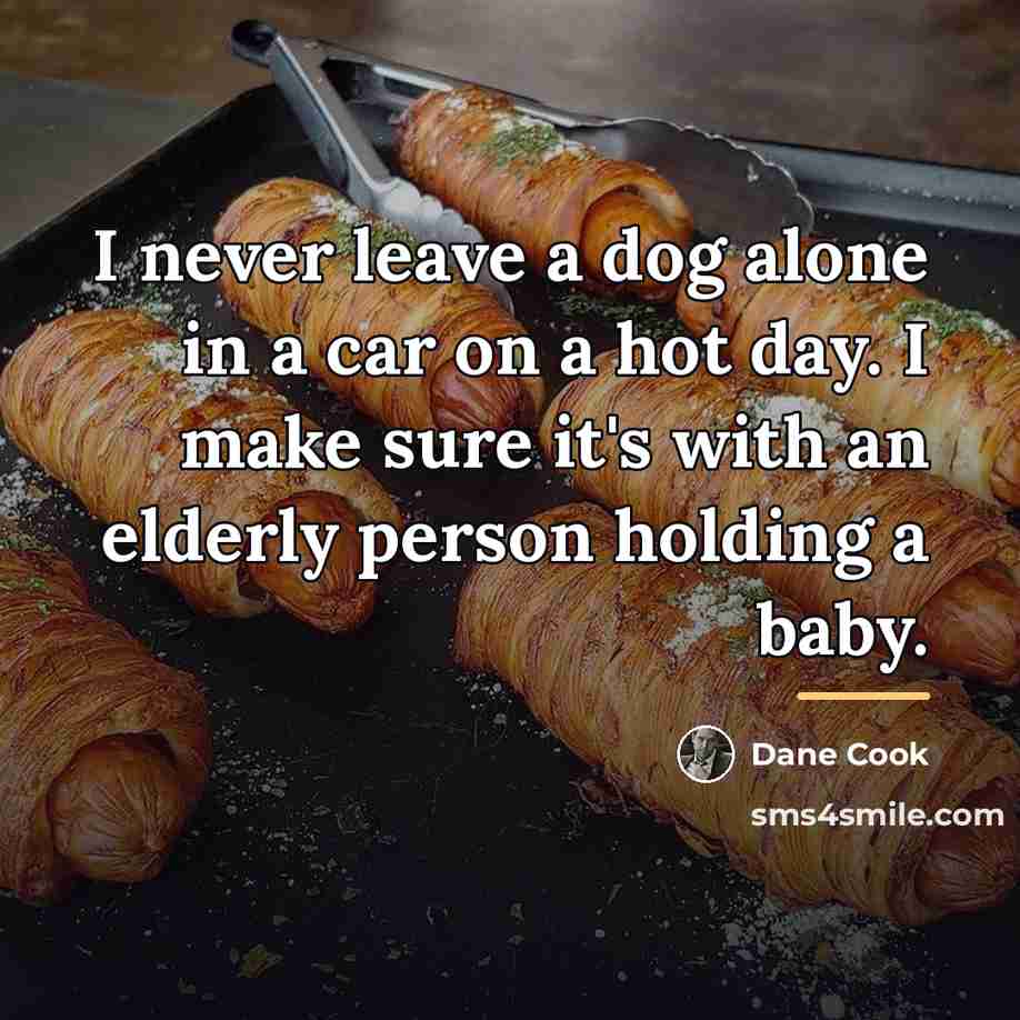 “I never leave a dog alone in a car on…” quote by Dane Cook