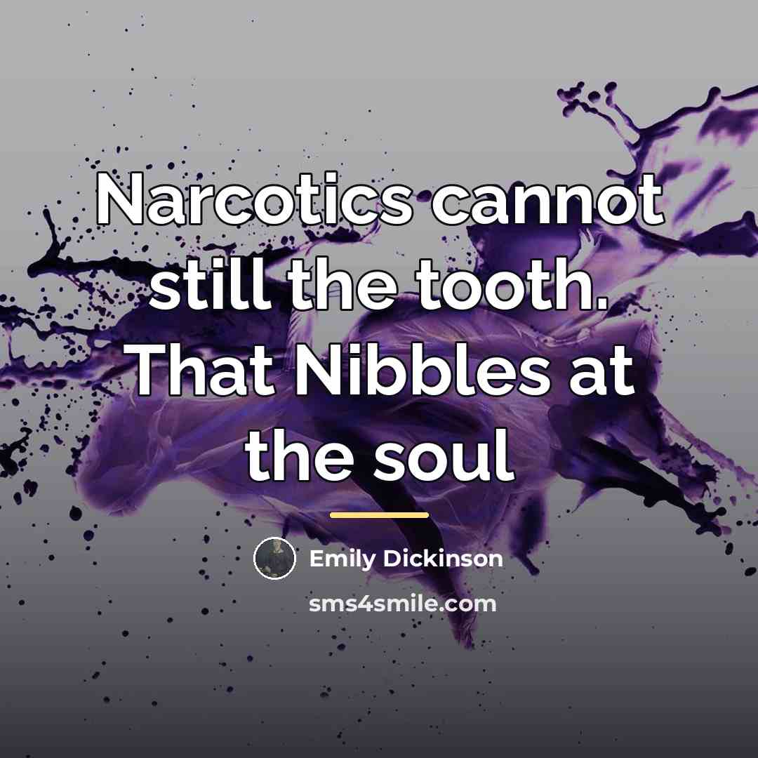 “Narcotics cannot still the tooth. That Nibbles at the soul…” quote by Emily Dickinson