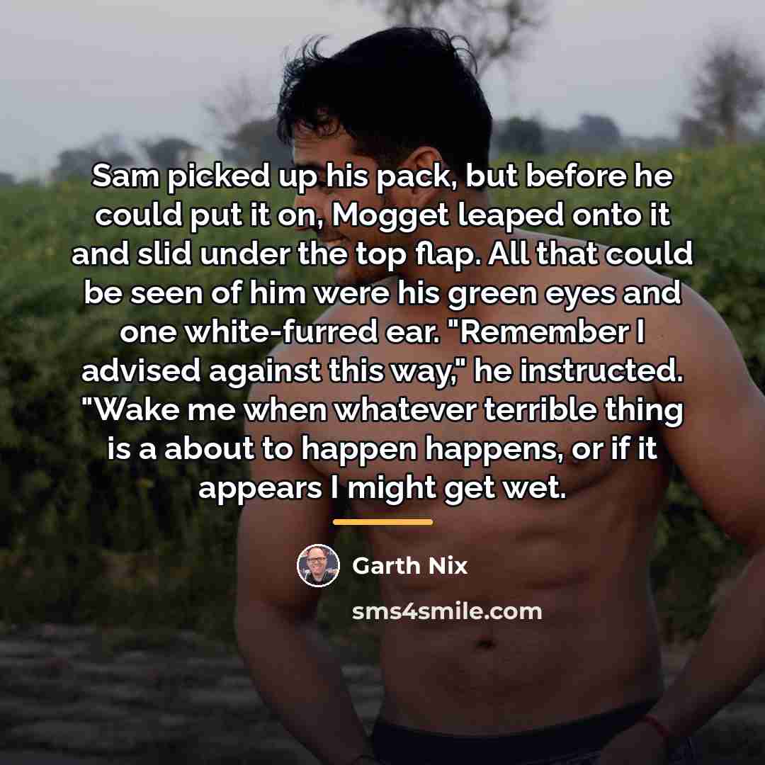 “Sam picked up his pack, but before he could put…” quote by Garth Nix