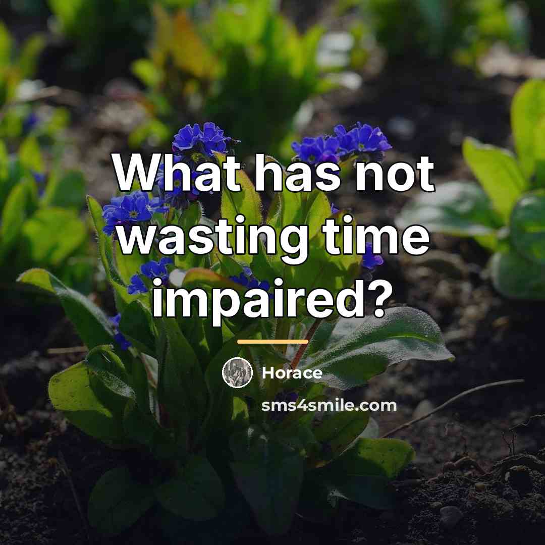 “What has not wasting time impaired?…” quote by Horace