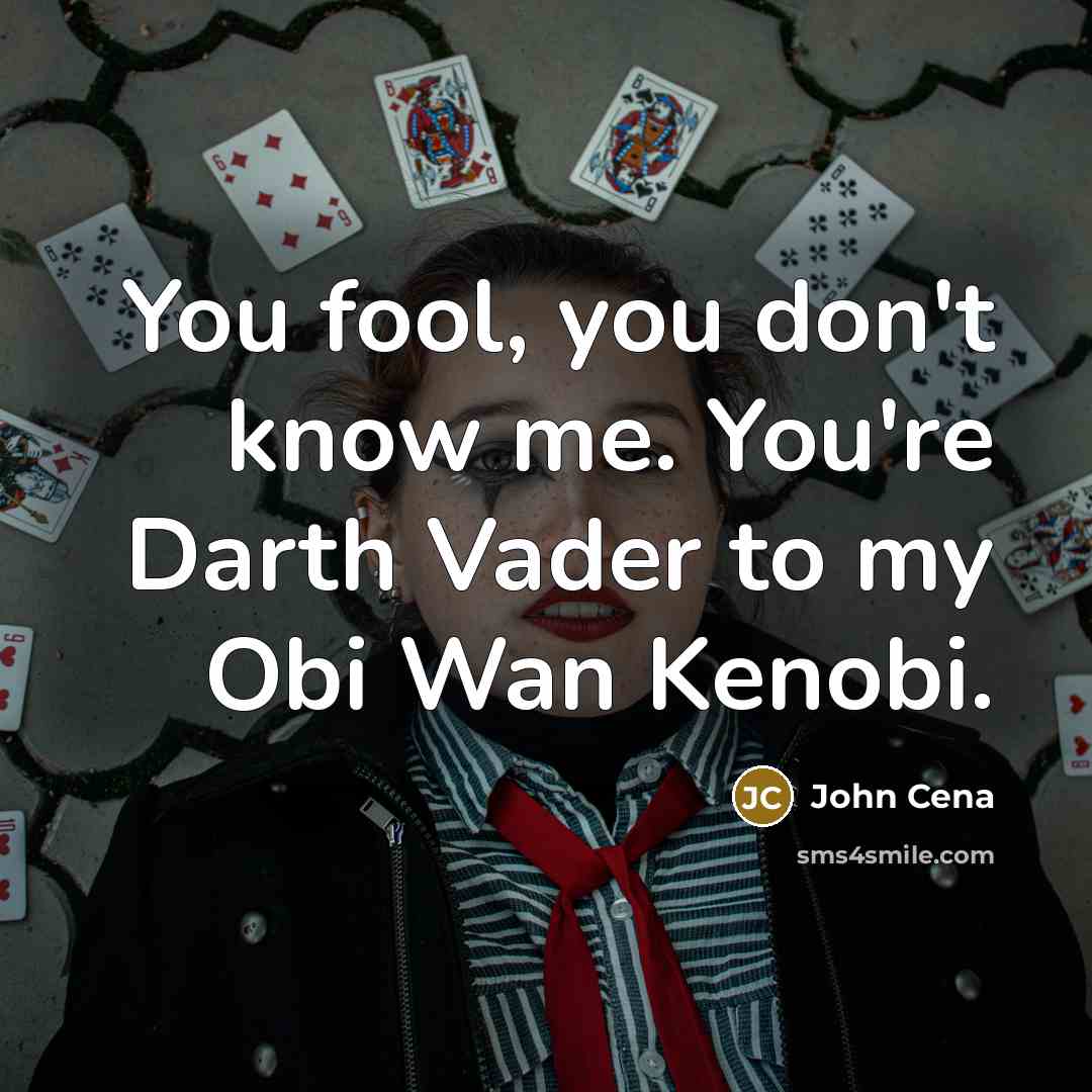 “You fool, you don't know me. You're Darth Vader to my Obi Wan Kenobi.” quote by John Cena