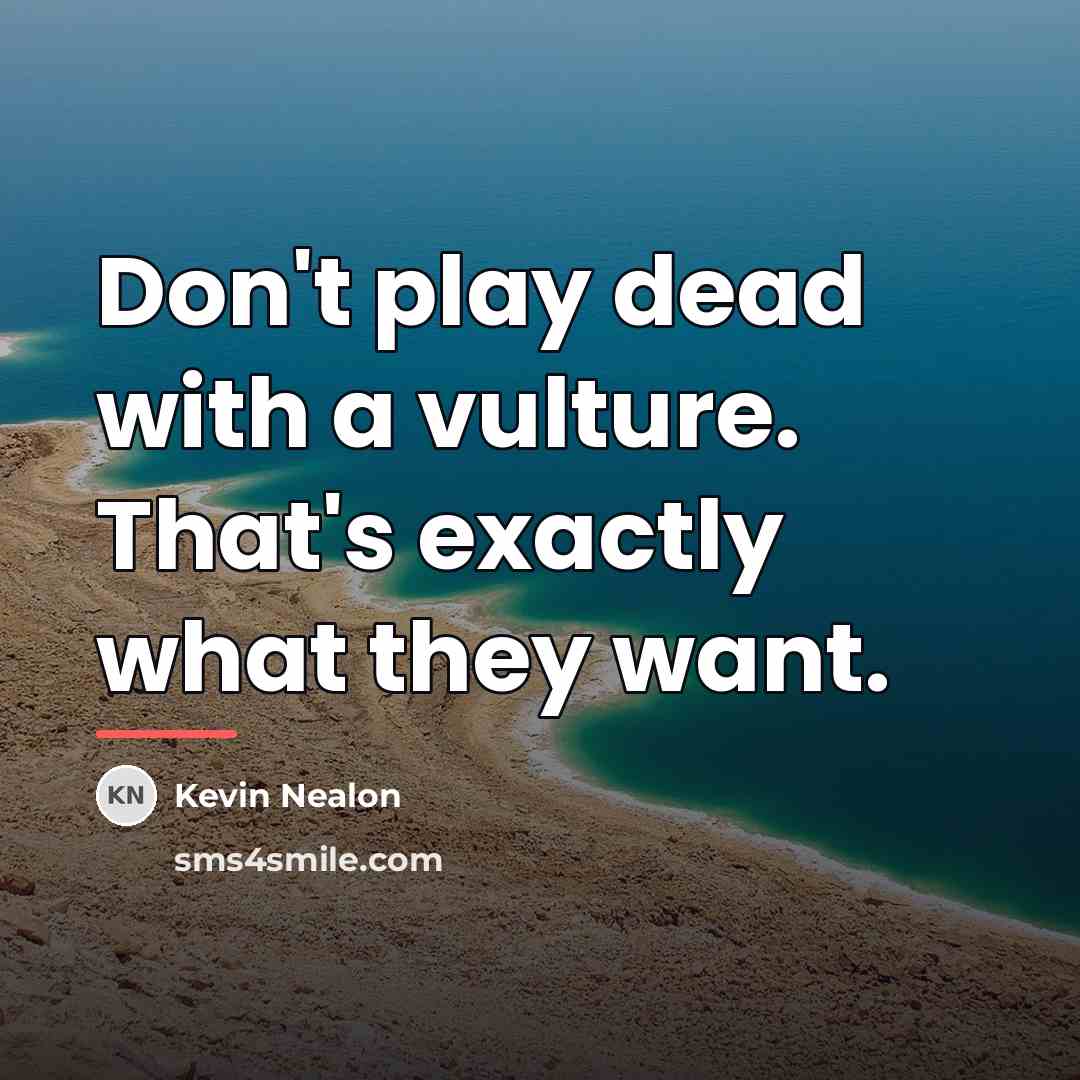 “Don't play dead with a vulture. That's exactly what they…” quote by Kevin Nealon