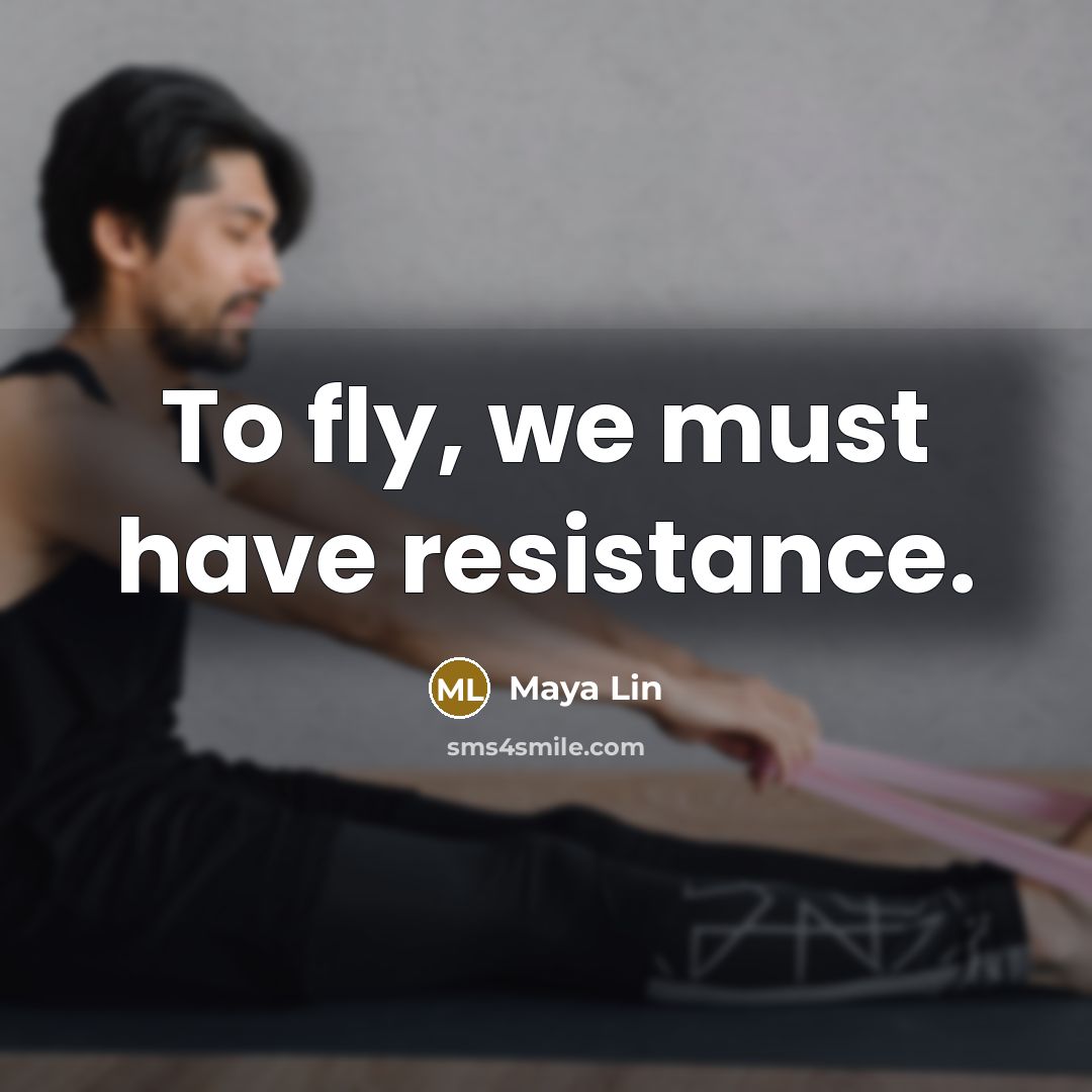 “To fly, we must have resistance.…” quote by Maya Lin