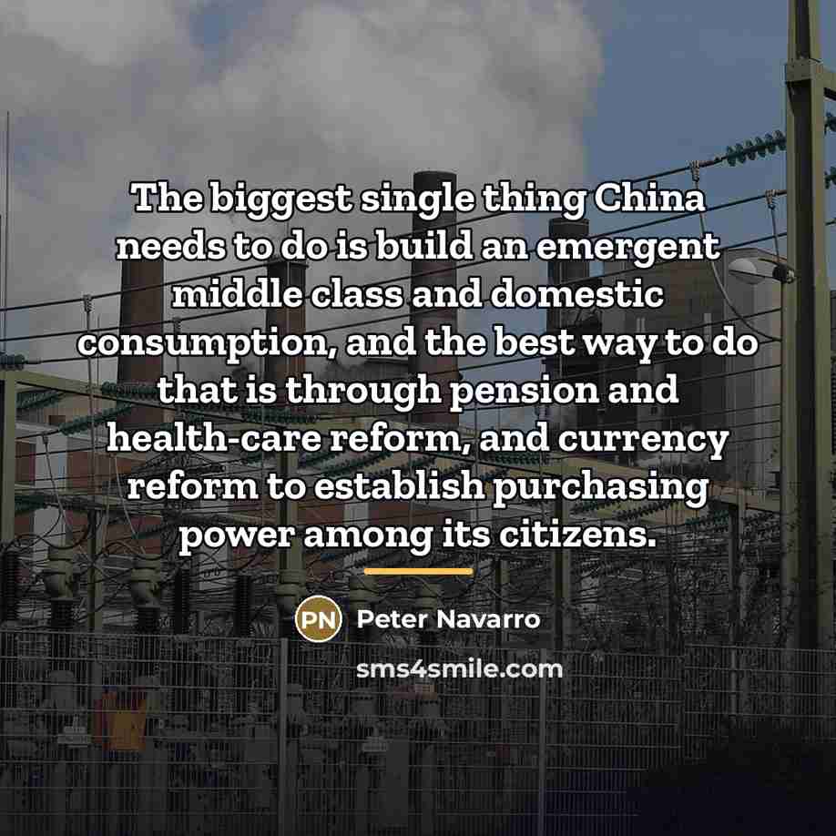 “The biggest single thing China needs to do is build…” quote by Peter Navarro