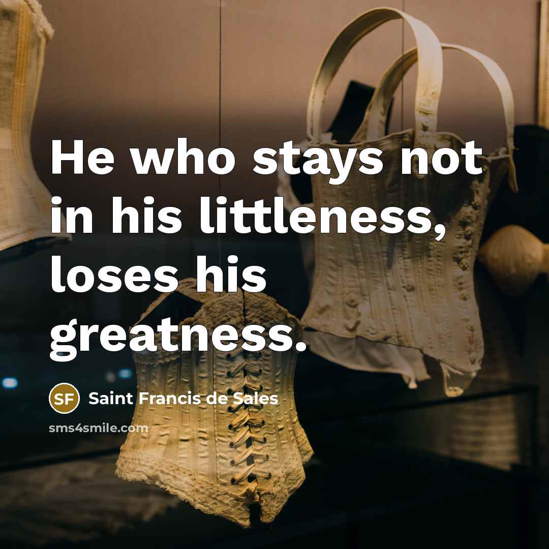 “He who stays not in his littleness, loses his greatness.…” quote by Saint Francis de Sales
