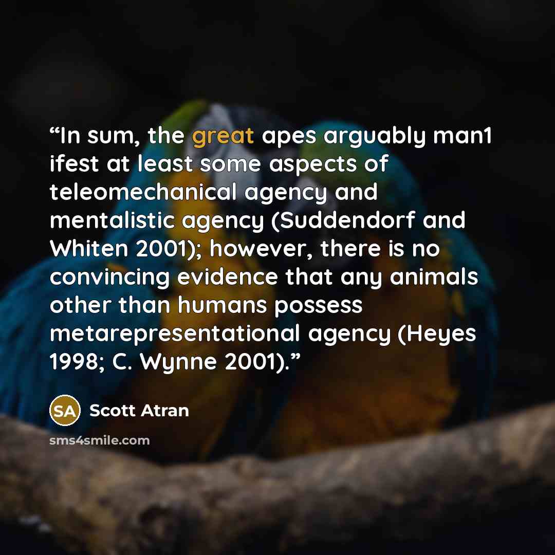 “In sum, the great apes arguably man1 ifest at least some aspects of teleomechanical agency and mentalistic agency (Suddendorf and Whiten 2001); however, there is no convincing evidence that any animals other than humans possess metarepresentational agency (Heyes 1998; C. Wynne 2001).” quote by Scott Atran