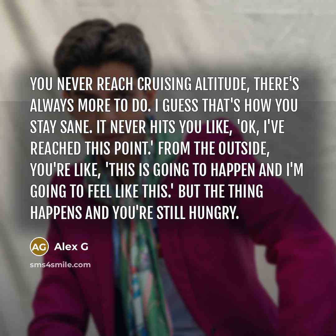 “You never reach cruising altitude, there's always more to do.…” quote by Alex G
