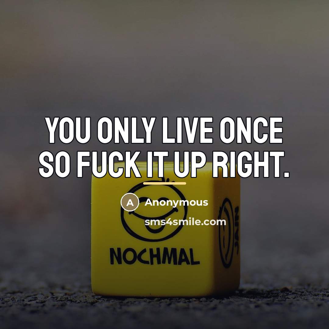 “You only live once so fuck it up right.…” quote by Anonymous