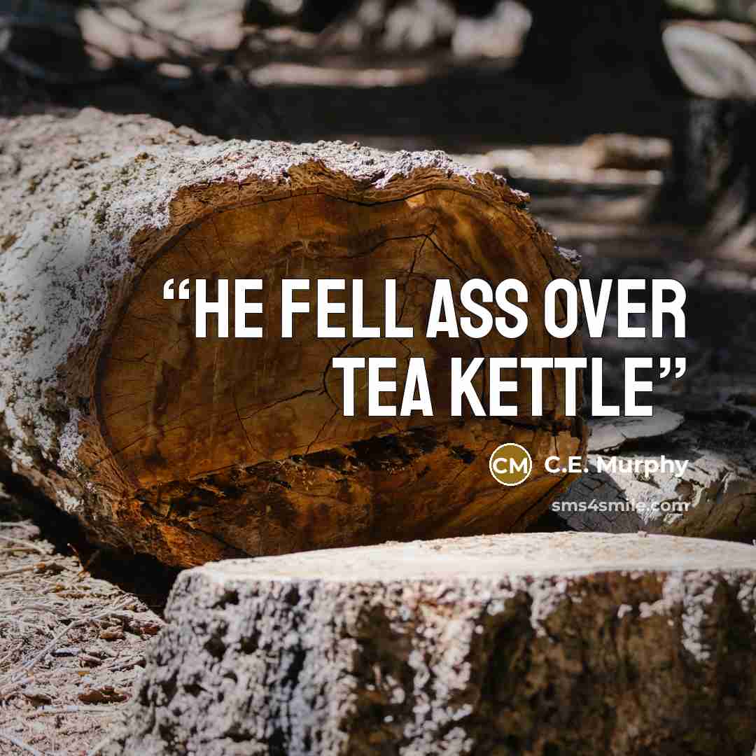 “He fell ass over tea Kettle” quote by C.E. Murphy
