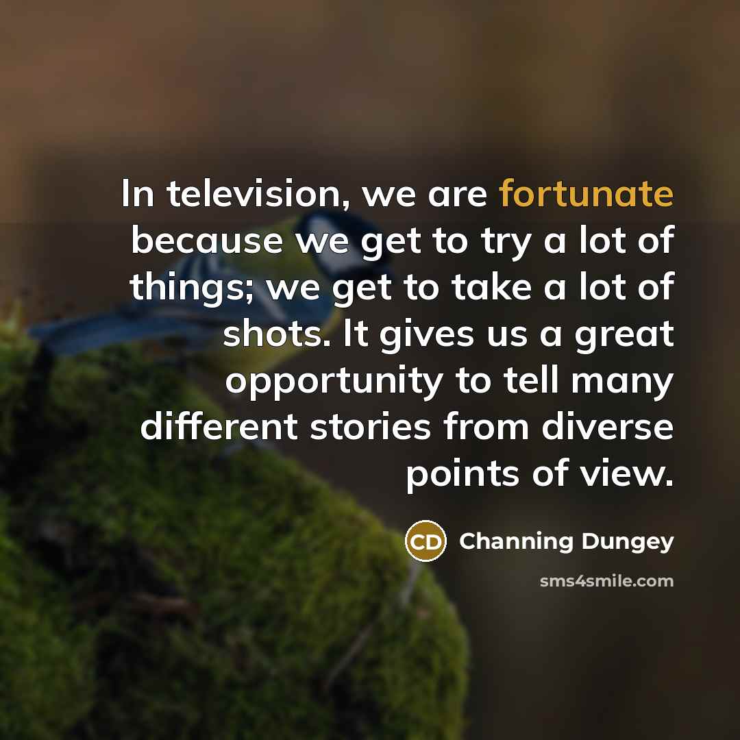 “In television, we are fortunate because we get to try…” quote by Channing Dungey