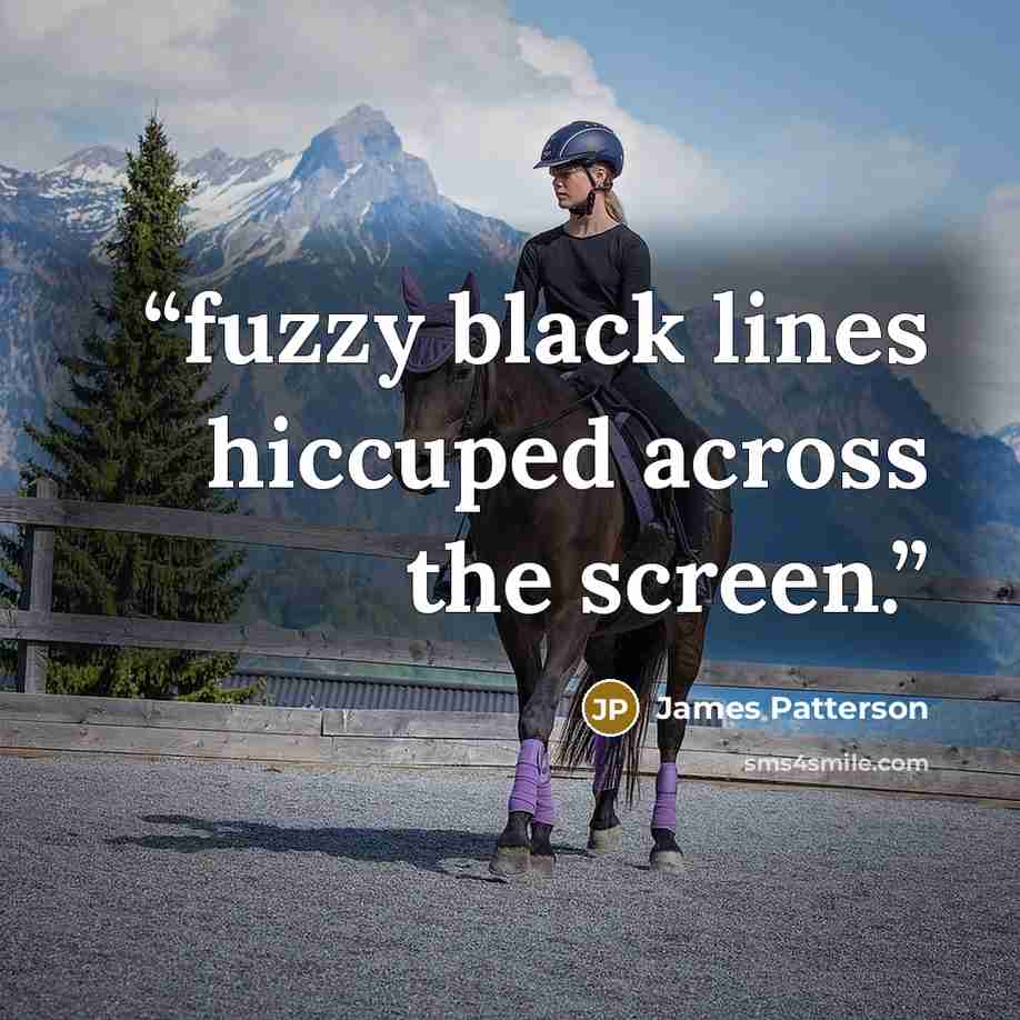 “fuzzy black lines hiccuped across the screen.” quote by James Patterson