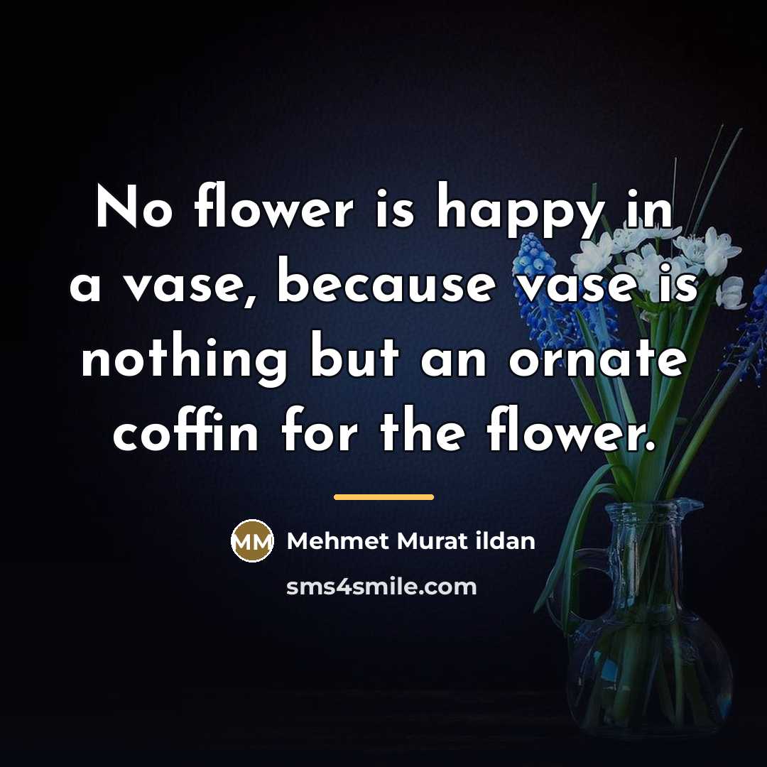 “No flower is happy in a vase, because vase is…” quote by Mehmet Murat Ildan