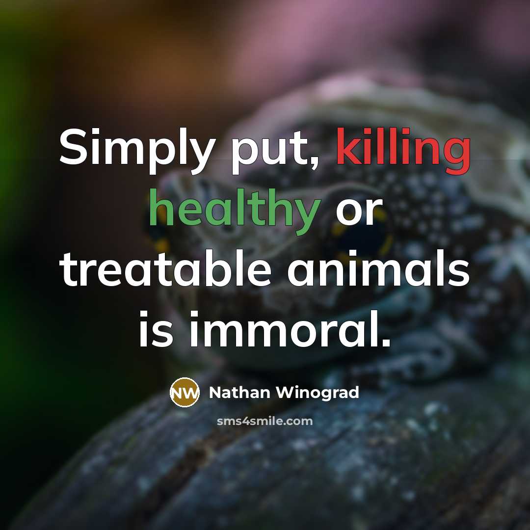 “Simply put, killing healthy or treatable animals is immoral.…” quote by Nathan Winograd