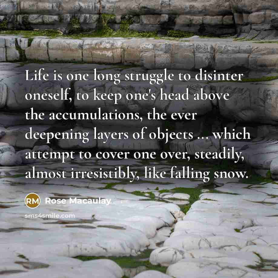 “Life is one long struggle to disinter oneself, to keep…” quote by Rose Macaulay