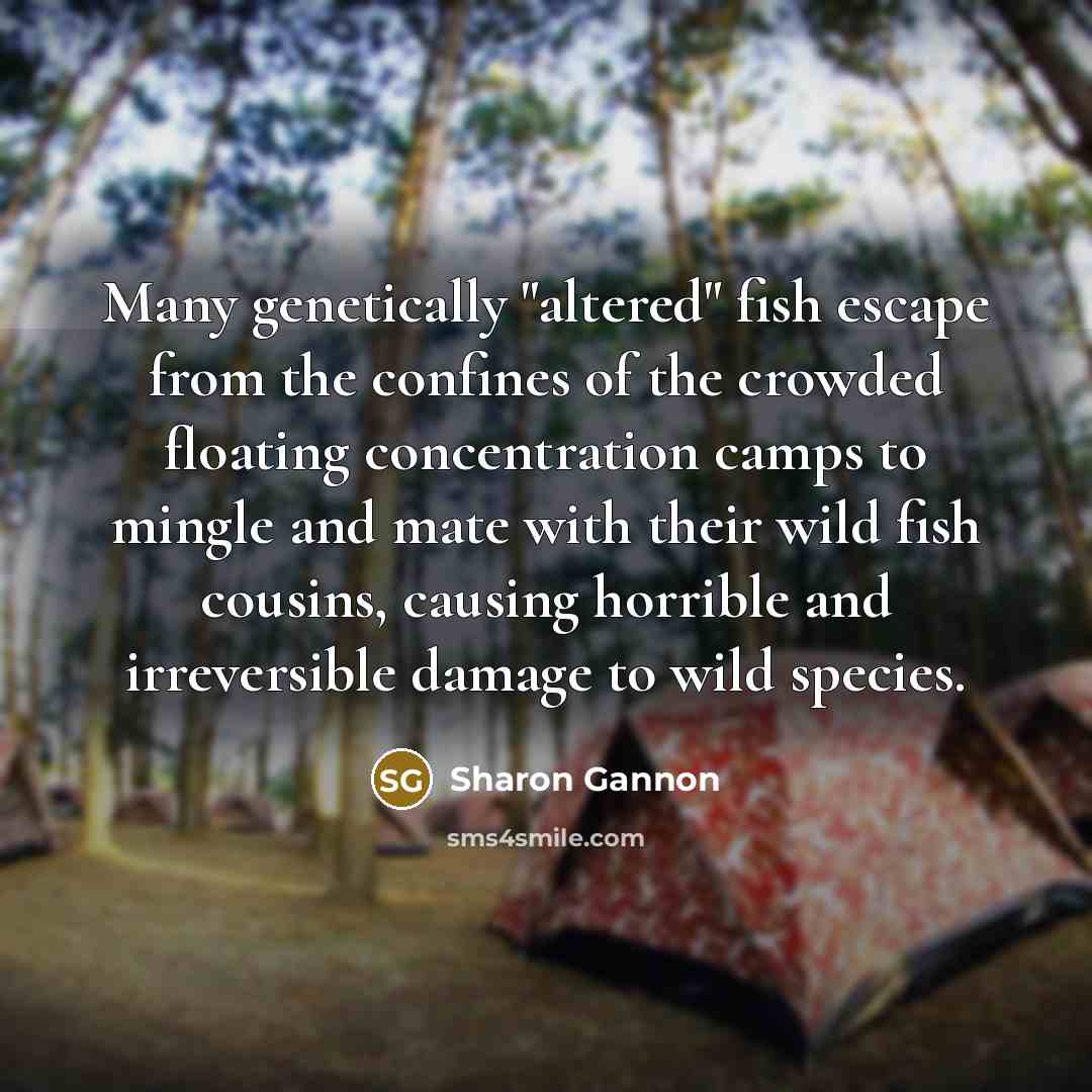 “Many genetically "altered" fish escape from the confines of the…” quote by Sharon Gannon