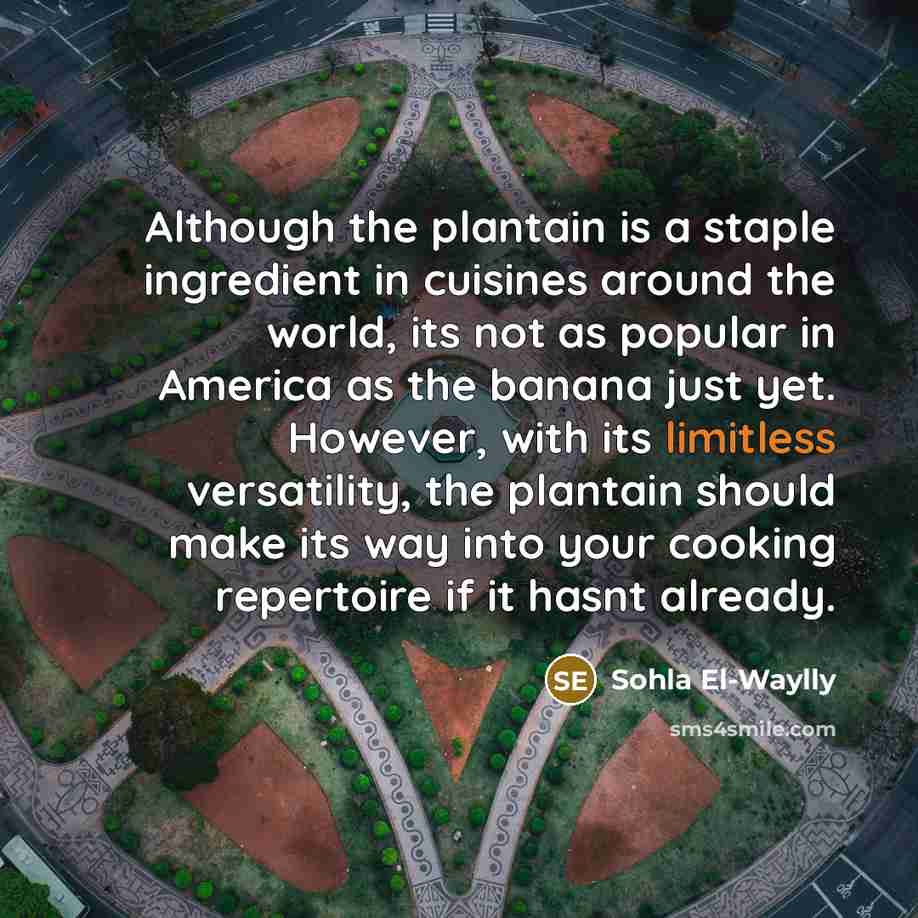 “Although the plantain is a staple ingredient in cuisines around…” quote by Sohla El-Waylly