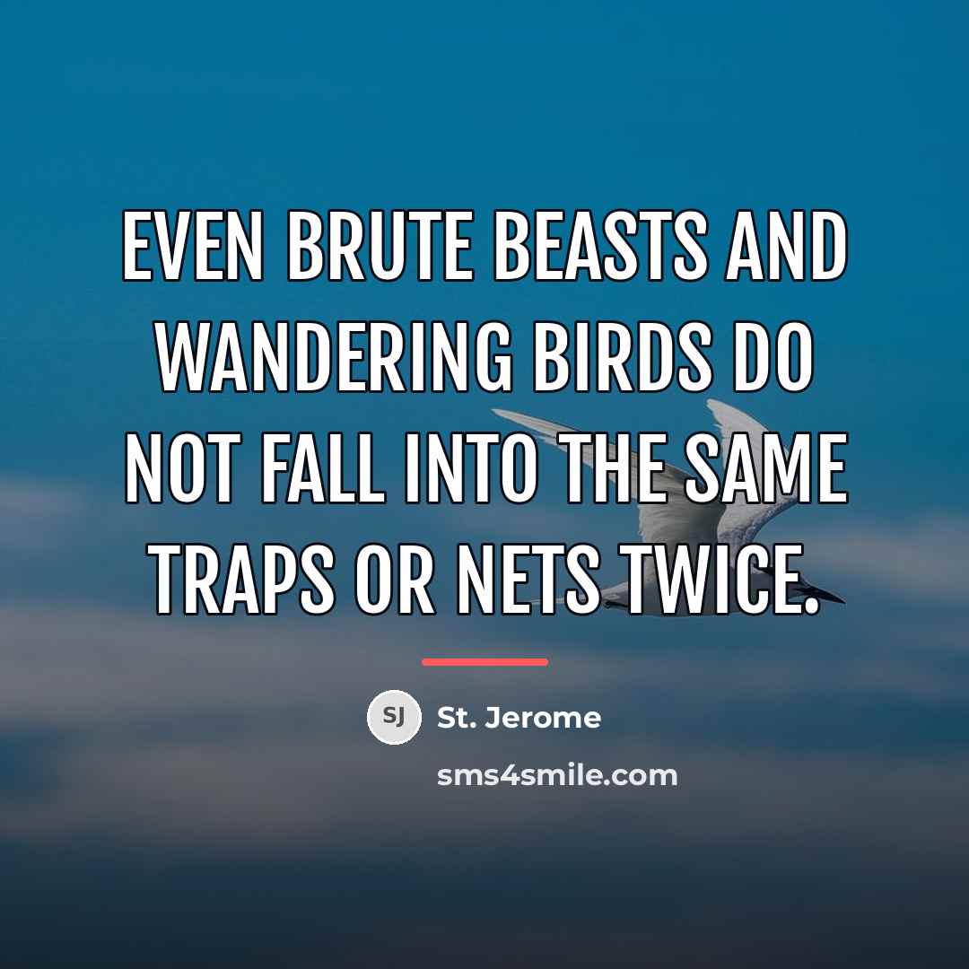 “Even brute beasts and wandering birds do not fall into…” quote by St. Jerome