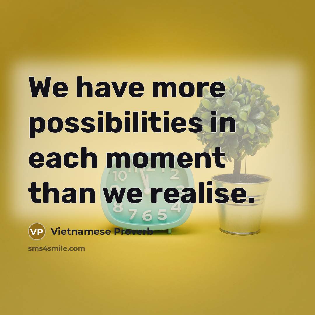 “We have more possibilities in each moment than we realise.…” quote by Vietnamese Proverb