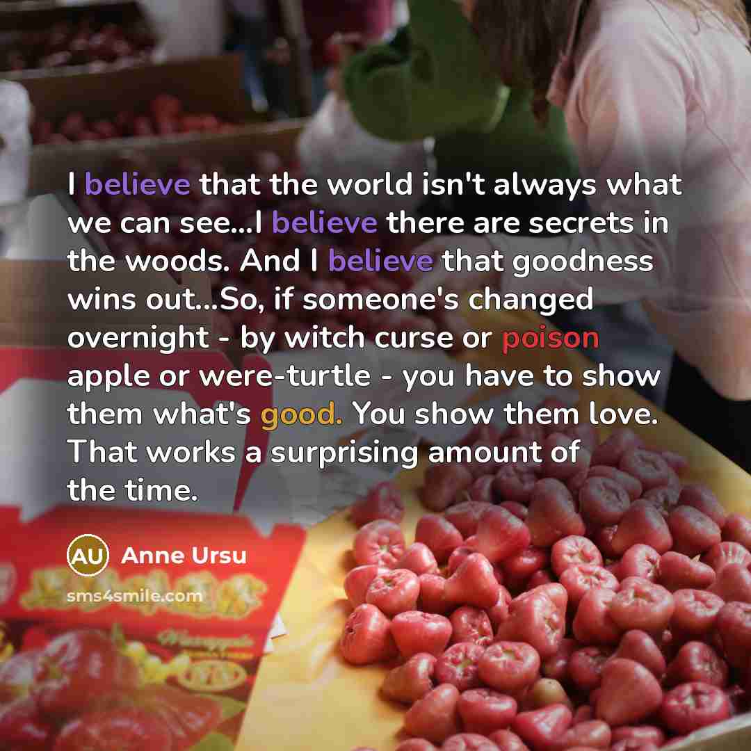 “I believe that the world isn't always what we can…” quote by Anne Ursu