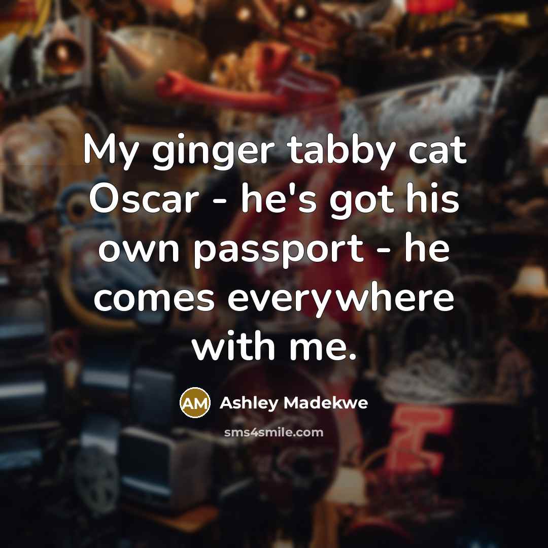 “My ginger tabby cat Oscar - he's got his own…” quote by Ashley Madekwe