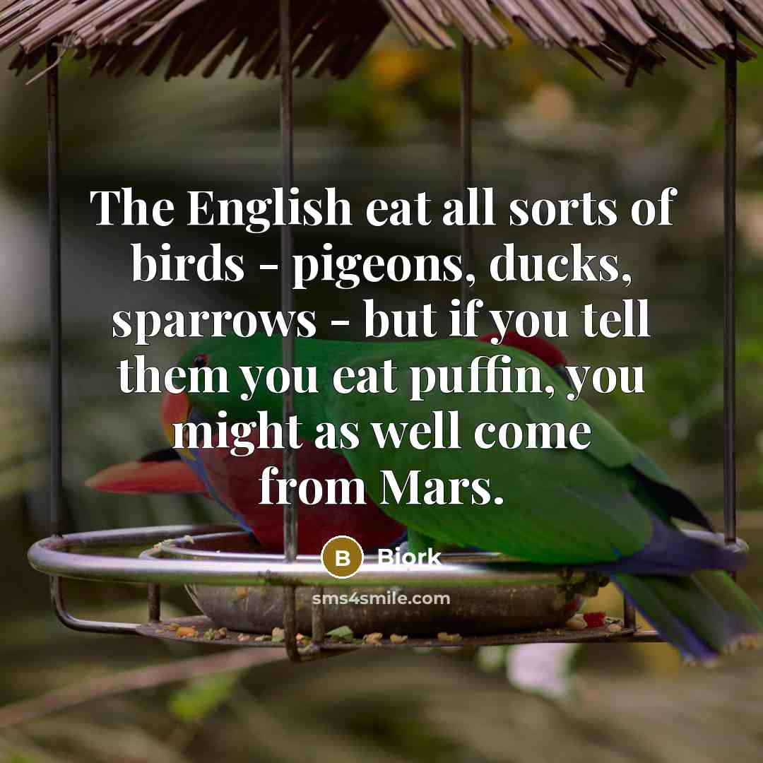 “The English eat all sorts of birds - pigeons, ducks,…” quote by Bjork