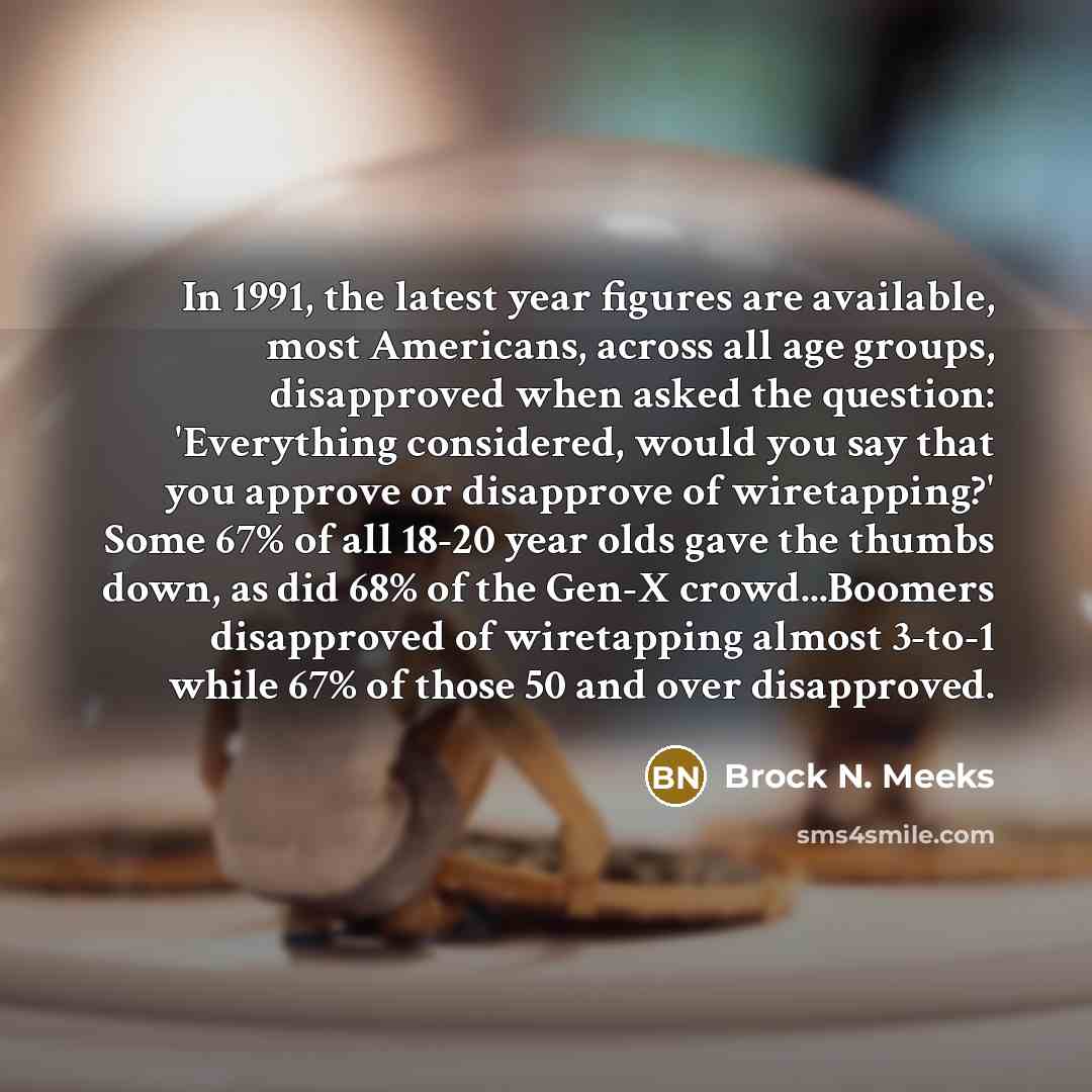 “In 1991, the latest year figures are available, most Americans,…” quote by Brock N. Meeks