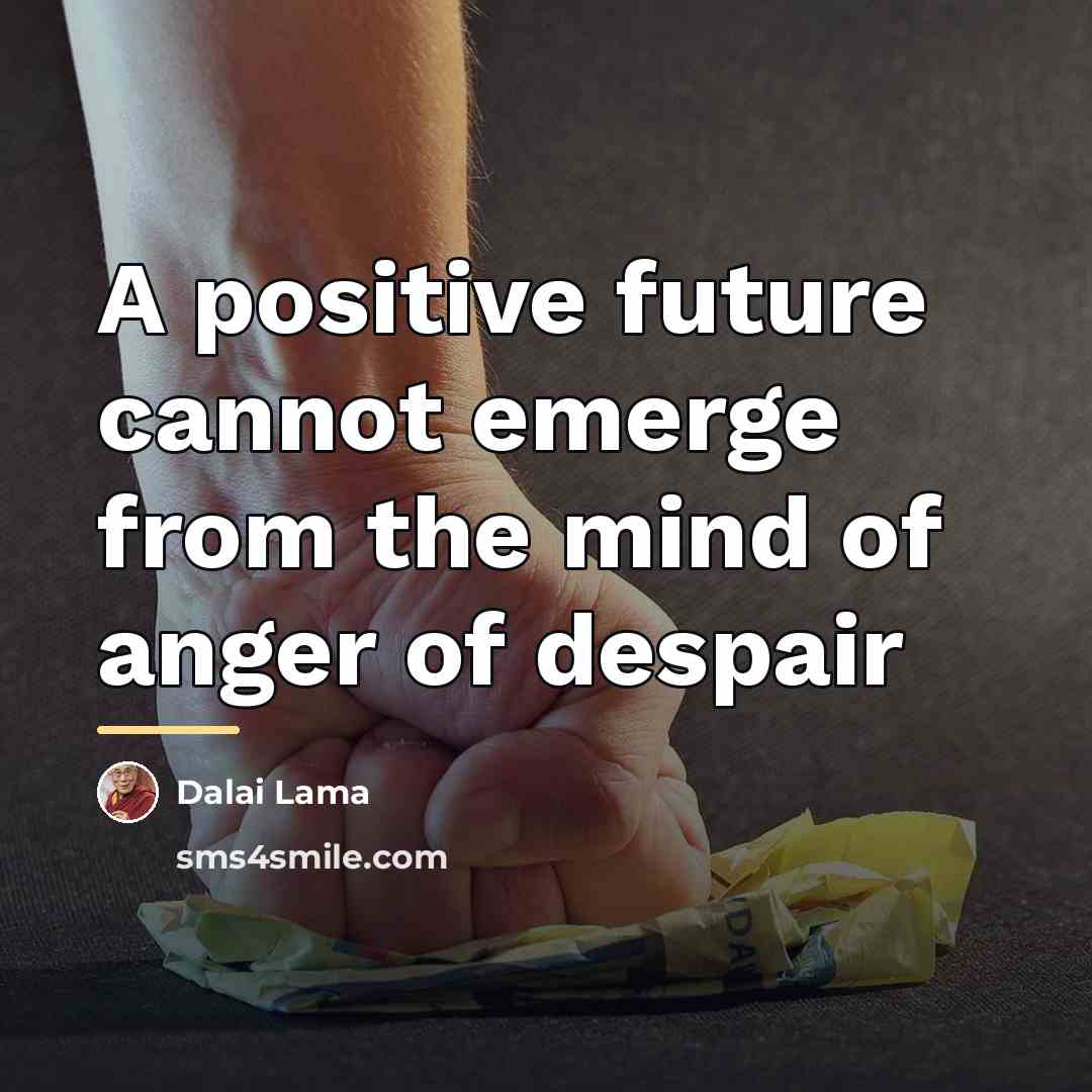“A positive future cannot emerge from the mind of anger…” quote by Dalai Lama