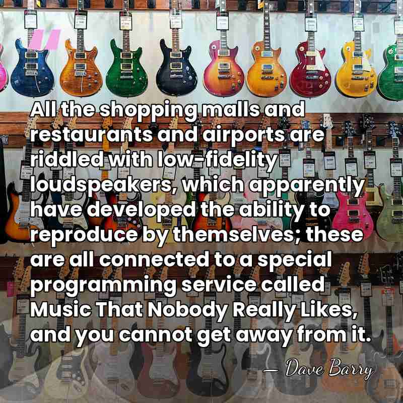 All the shopping malls and restaurants and airports are riddled with low-fidelity&hellip; - Dave Barry
