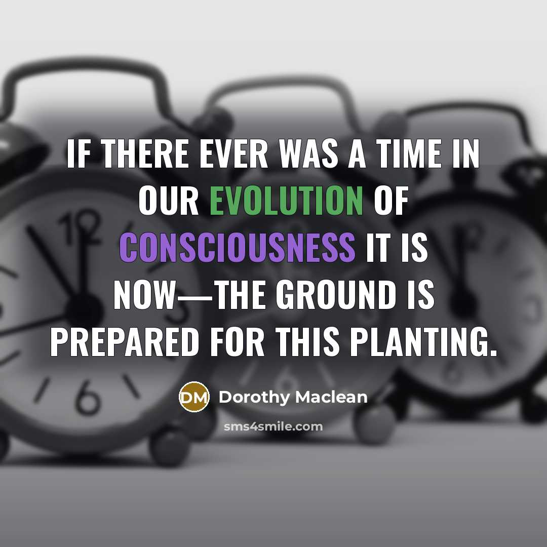 “If there ever was a time in our evolution of…” quote by Dorothy Maclean