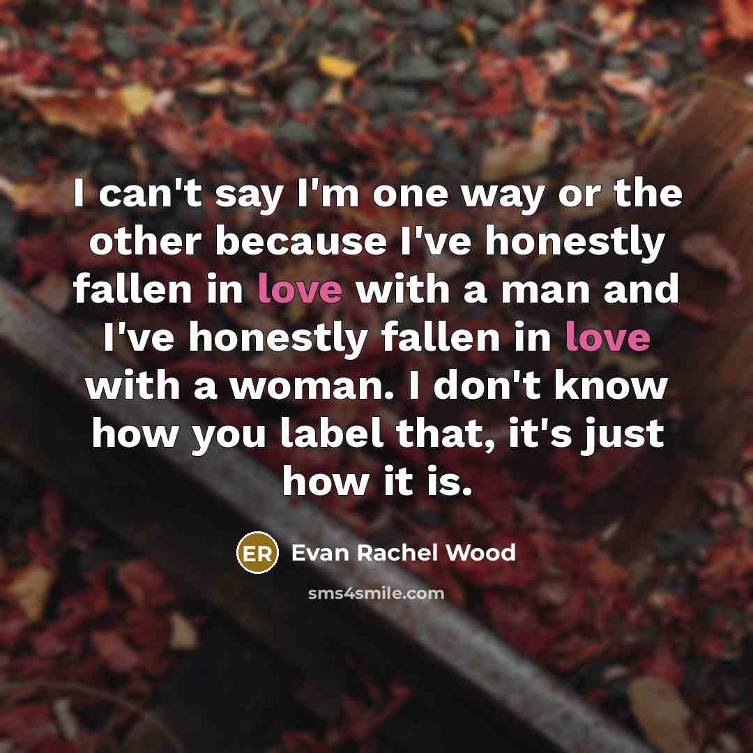 “I can't say I'm one way or the other because…” quote by Evan Rachel Wood