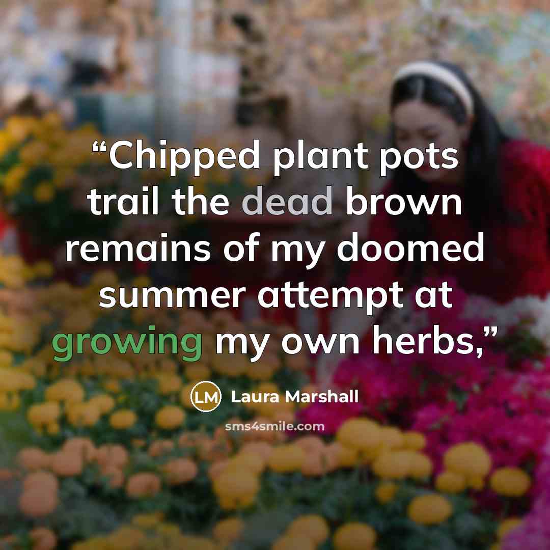 “Chipped plant pots trail the dead brown remains of my doomed summer attempt at growing my own herbs,” quote by Laura Marshall