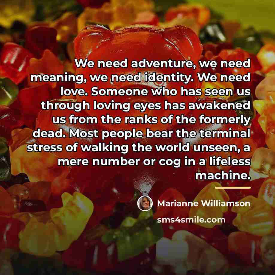 “We need adventure, we need meaning, we need identity. We…” quote by Marianne Williamson