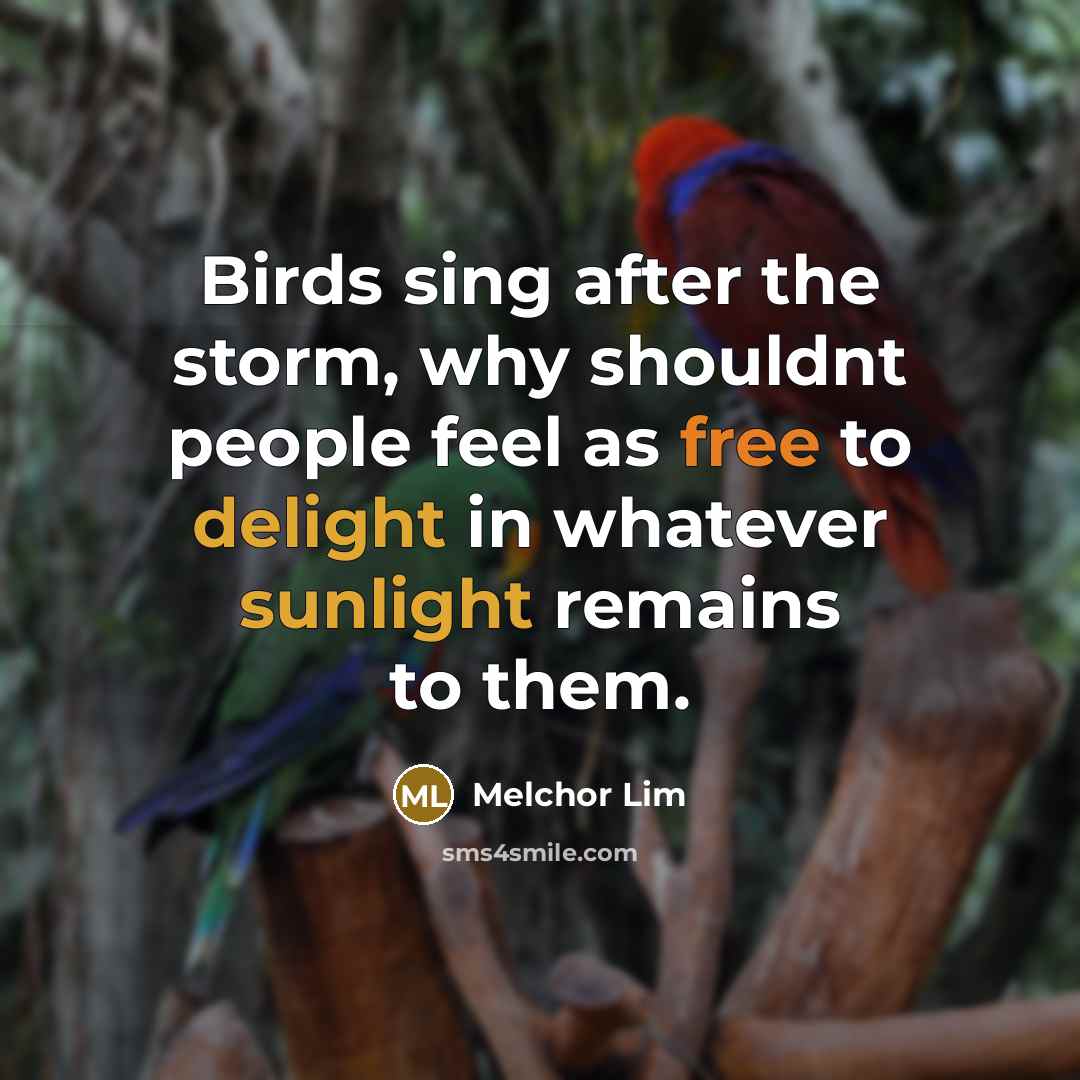 “Birds sing after the storm, why shouldnt people feel as free to delight in whatever sunlight remains to them.” quote by Melchor Lim