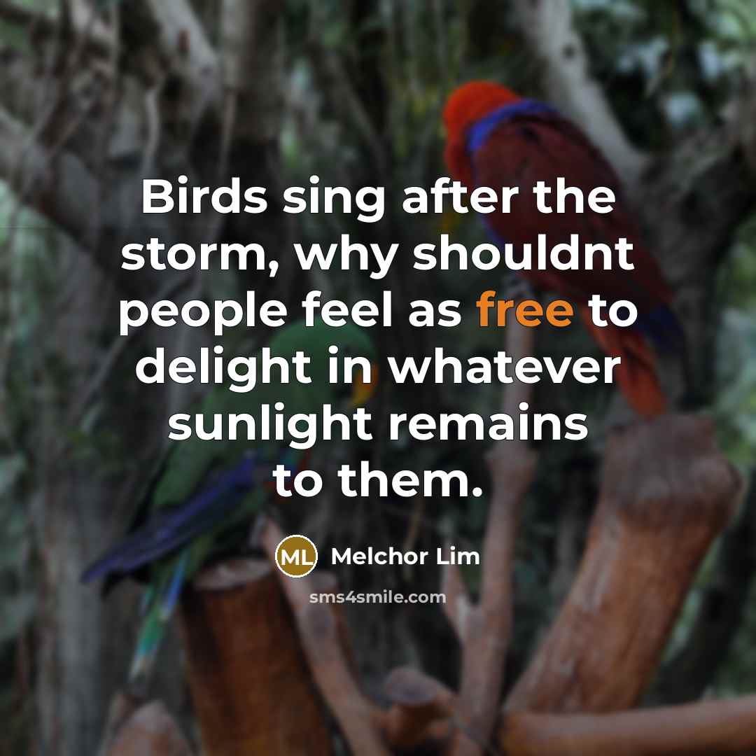 “Birds sing after the storm, why shouldnt people feel as…” quote by Melchor Lim