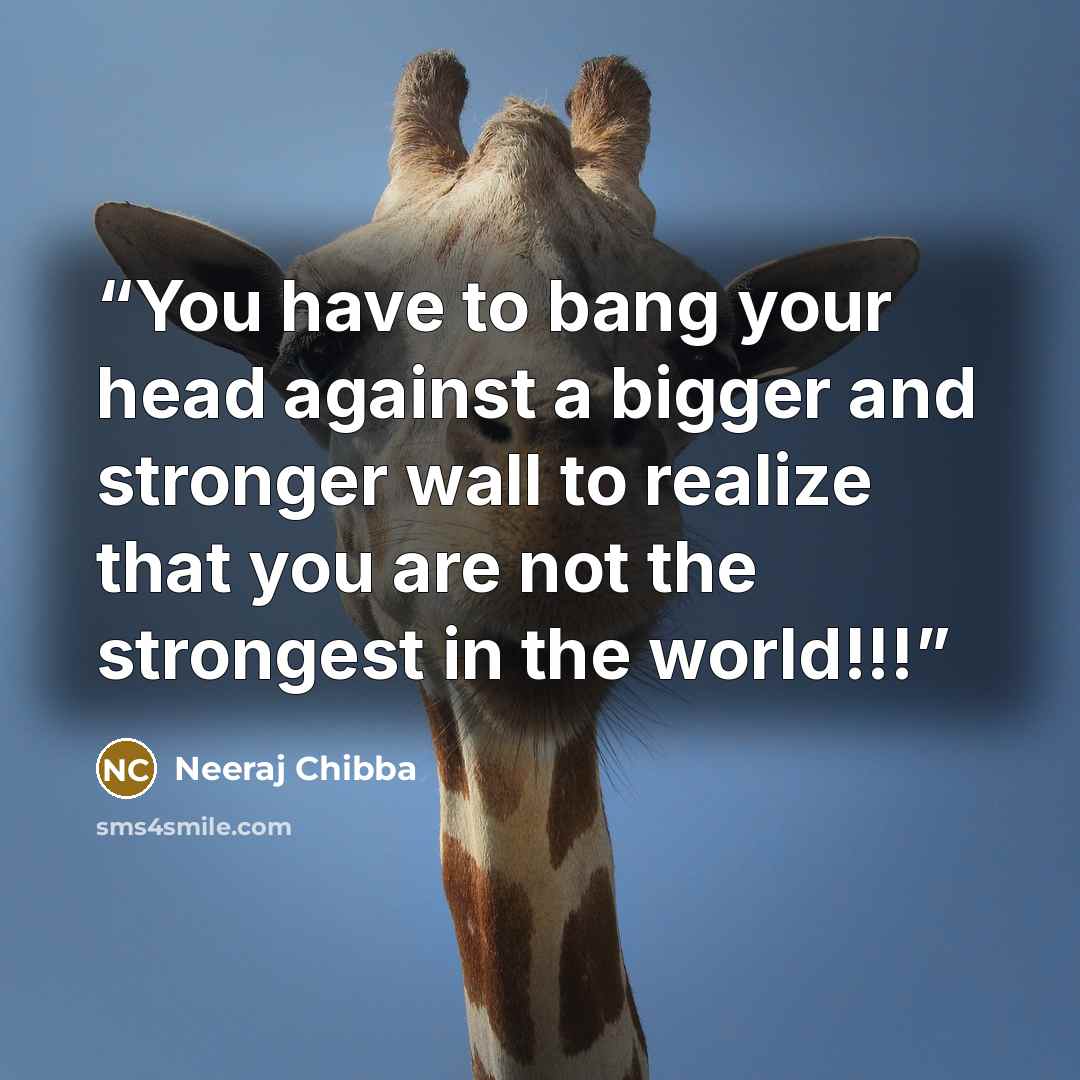 “You have to bang your head against a bigger and stronger wall to realize that you are not the strongest in the world!!!” quote by Neeraj Chibba