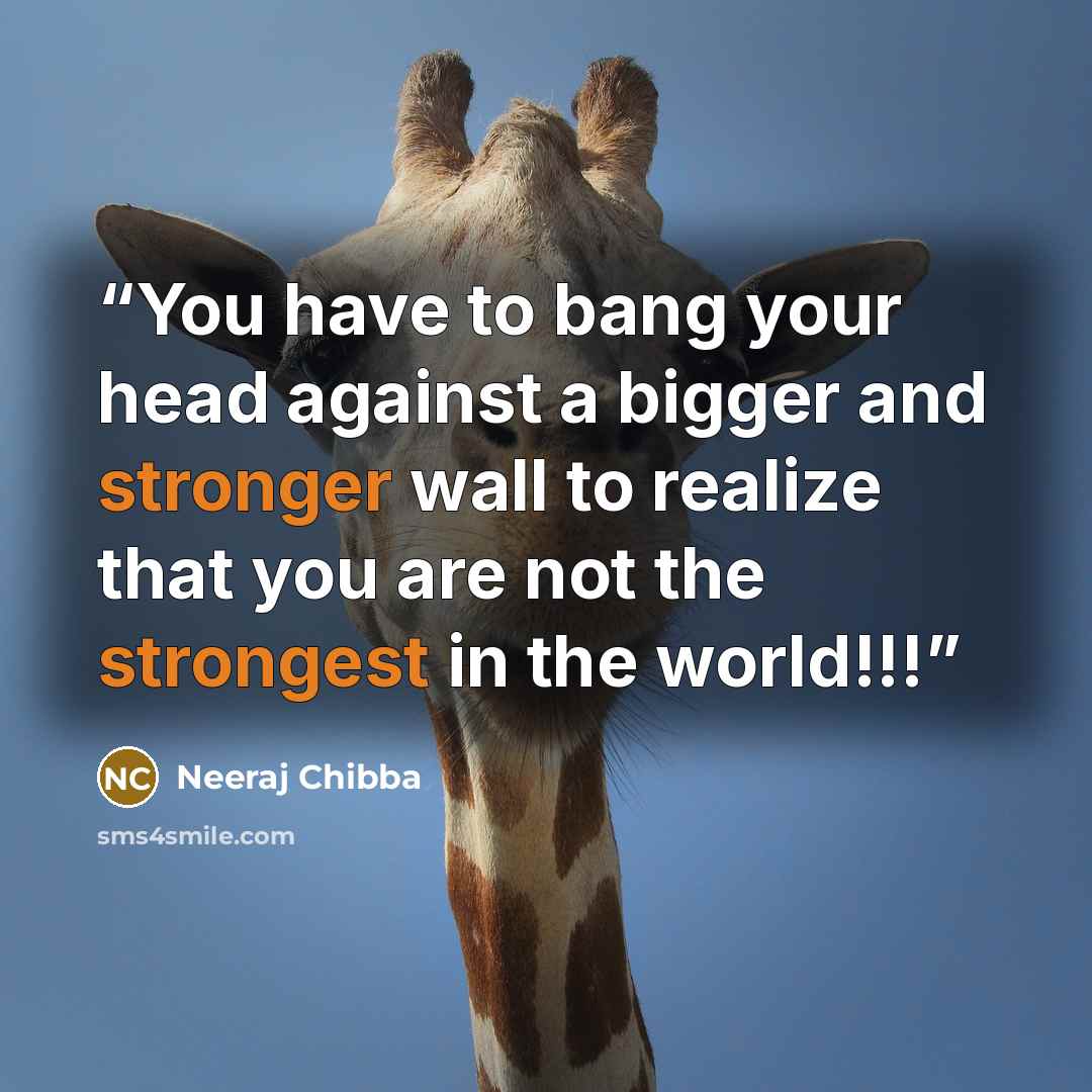 “You have to bang your head against a bigger and stronger wall to realize that you are not the strongest in the world!!!” quote by Neeraj Chibba