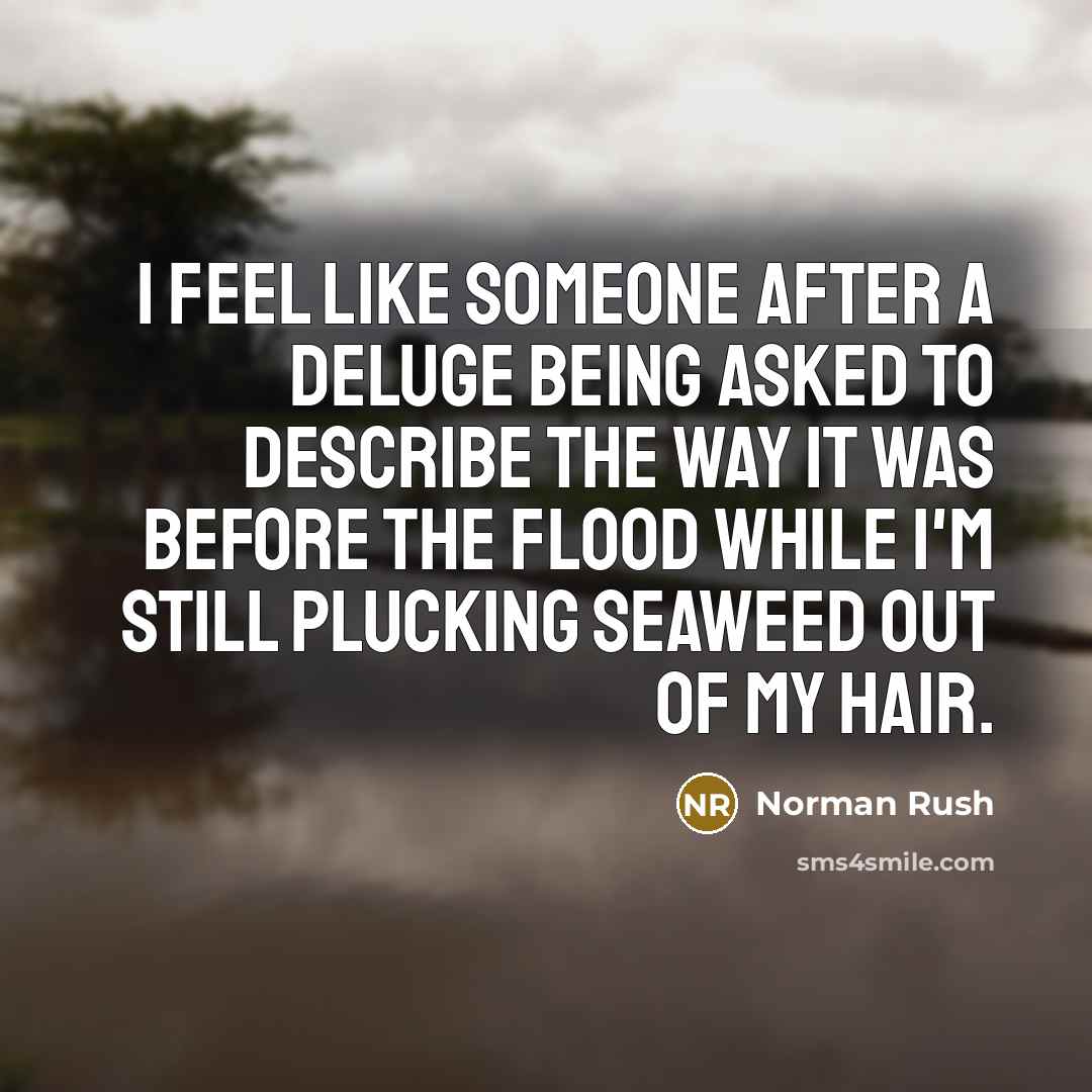 “I feel like someone after a deluge being asked to…” quote by Norman Rush