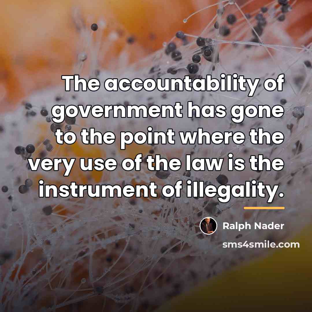 “The accountability of government has gone to the point where…” quote by Ralph Nader