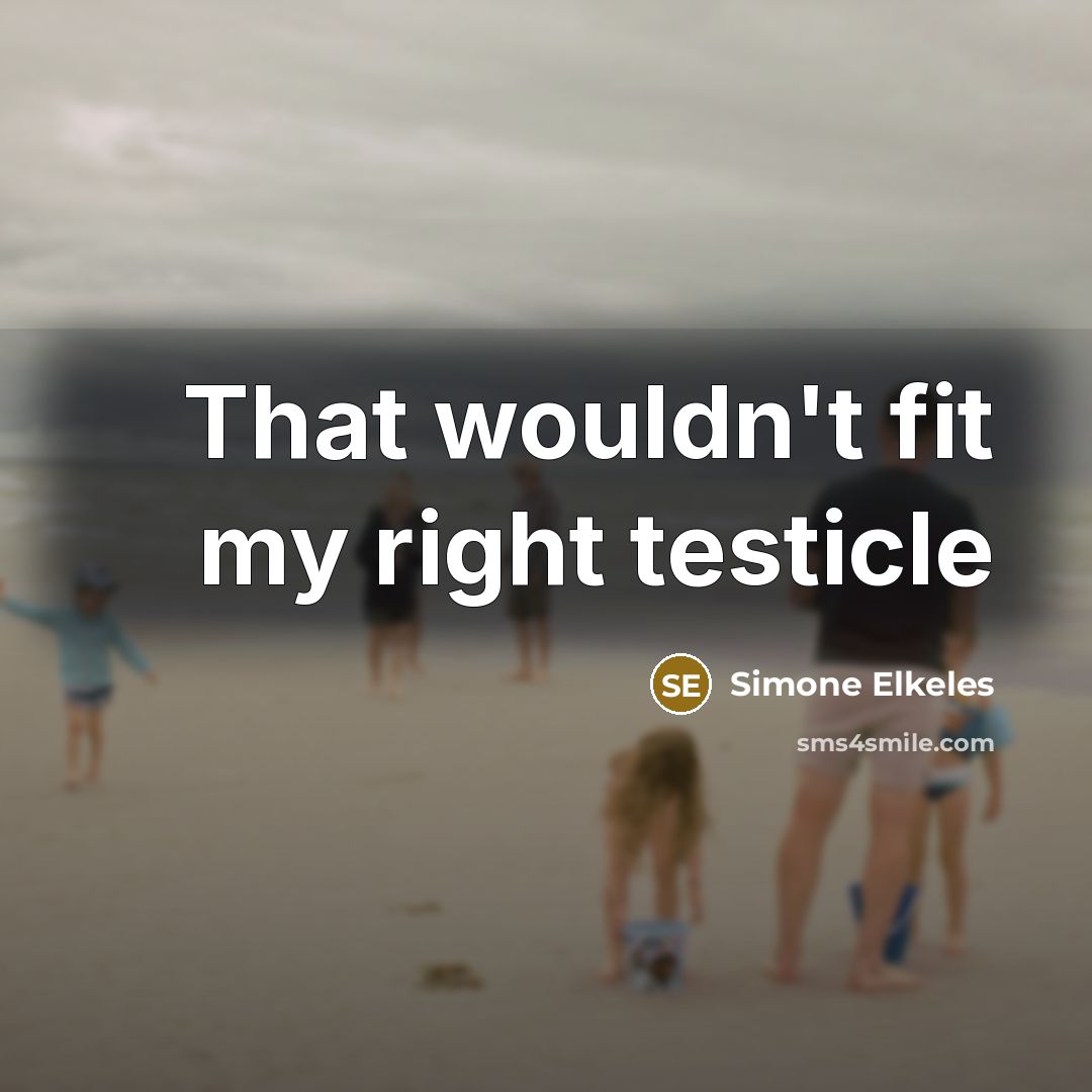 “That wouldn't fit my right testicle…” quote by Simone Elkeles