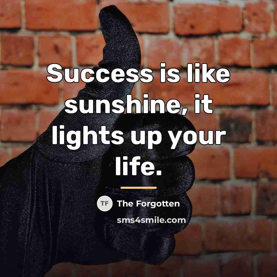 “Success is like sunshine, it lights up your life.…” quote by The Forgotten