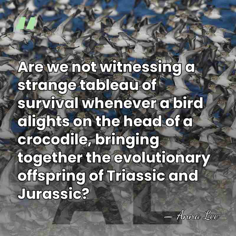 Are we not witnessing a strange tableau of survival whenever a bird&hellip; - Anna Lee