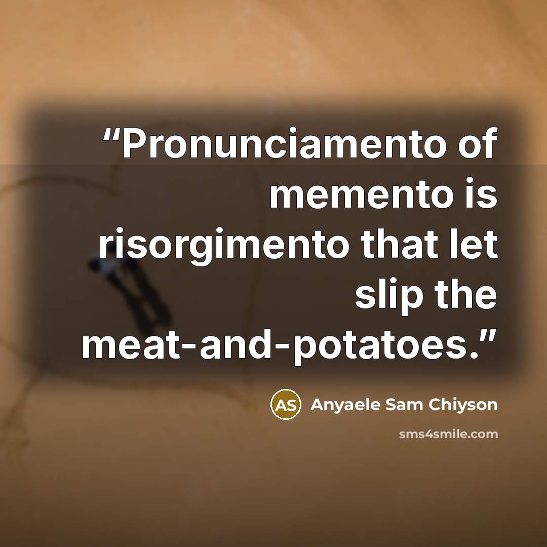 “Pronunciamento of memento is risorgimento that let slip the meat-and-potatoes.” quote by Anyaele Sam Chiyson