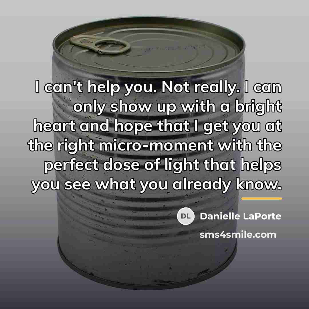 “I can't help you. Not really. I can only show…” quote by Danielle LaPorte