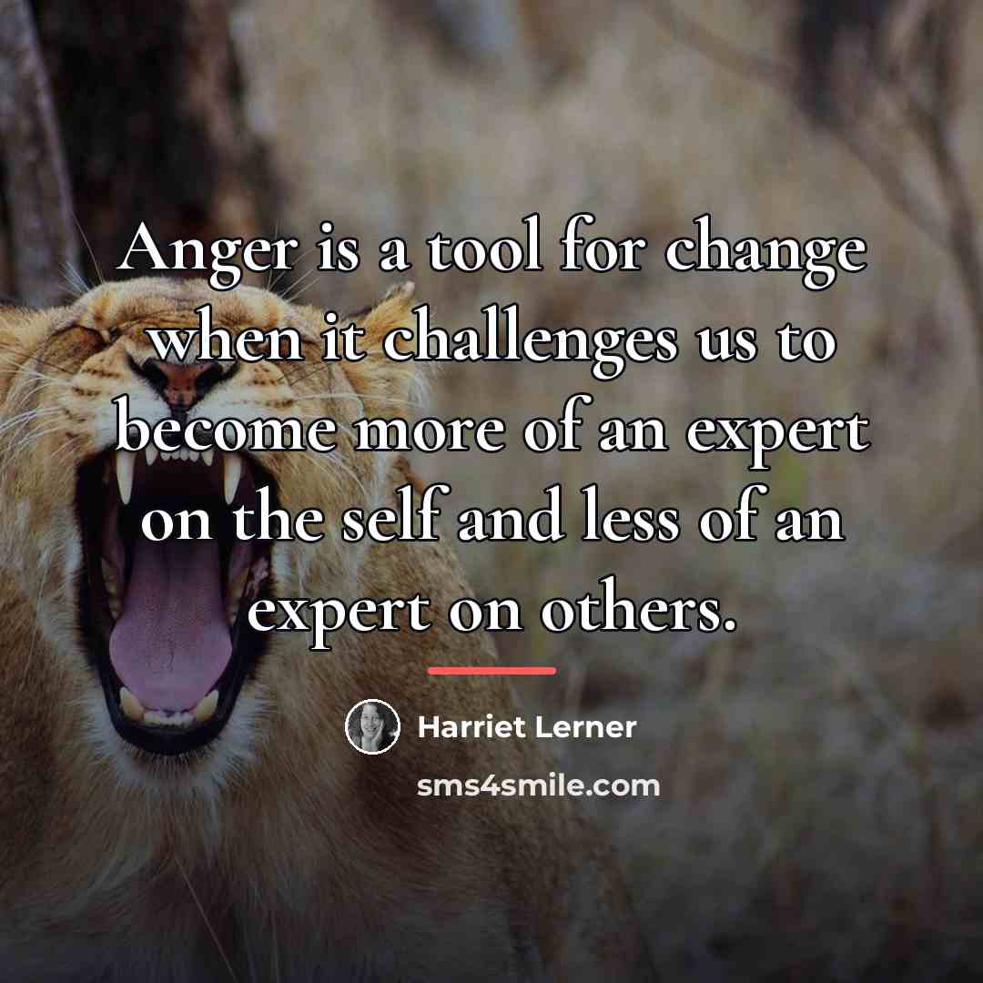 “Anger is a tool for change when it challenges us…” quote by Harriet Lerner